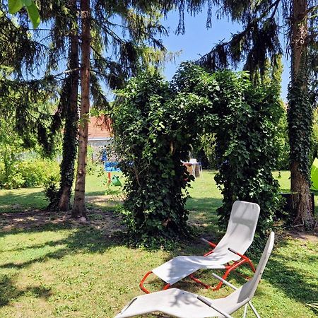 Romantic Villa - Pápa Exteriör bild